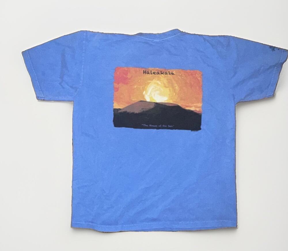Crazy Shirts Haleakala National Park Art T-Shirt Blue Large 22x27